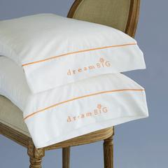 Pillow Case Gift Set (Dream Big or Love and Appreciation)
